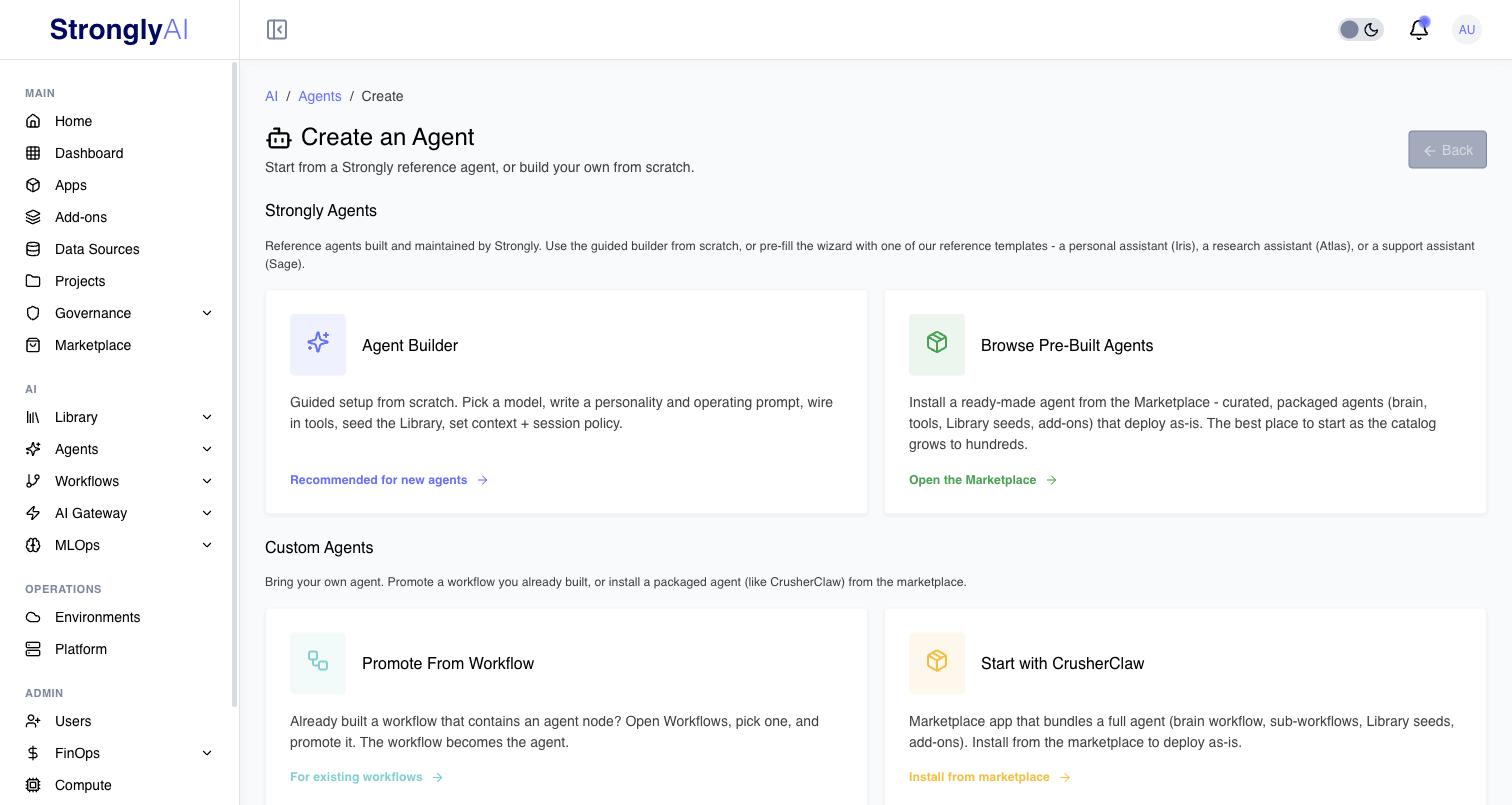 Create an Agent